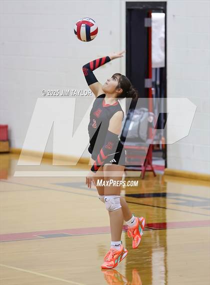 Thumbnail 1 in Albany vs  Aspermont (Eastland Volleyball Showdown 2025) photogallery.