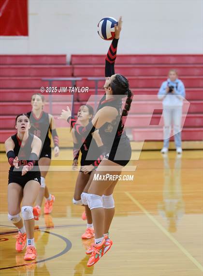 Thumbnail 2 in Albany vs  Aspermont (Eastland Volleyball Showdown 2025) photogallery.