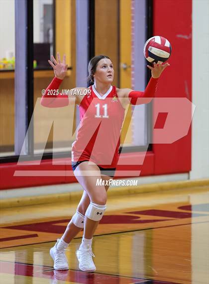 Thumbnail 1 in Albany vs  Aspermont (Eastland Volleyball Showdown 2025) photogallery.