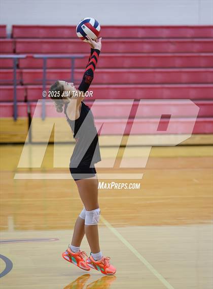 Thumbnail 3 in Albany vs  Aspermont (Eastland Volleyball Showdown 2025) photogallery.