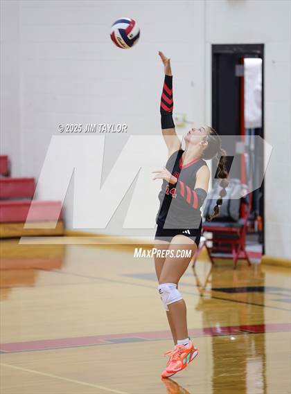 Thumbnail 3 in Albany vs  Aspermont (Eastland Volleyball Showdown 2025) photogallery.