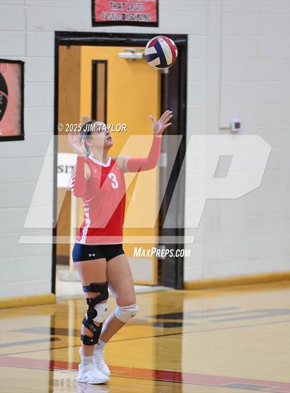 Thumbnail 1 in Albany vs  Aspermont (Eastland Volleyball Showdown 2025) photogallery.