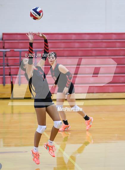 Thumbnail 3 in Albany vs  Aspermont (Eastland Volleyball Showdown 2025) photogallery.