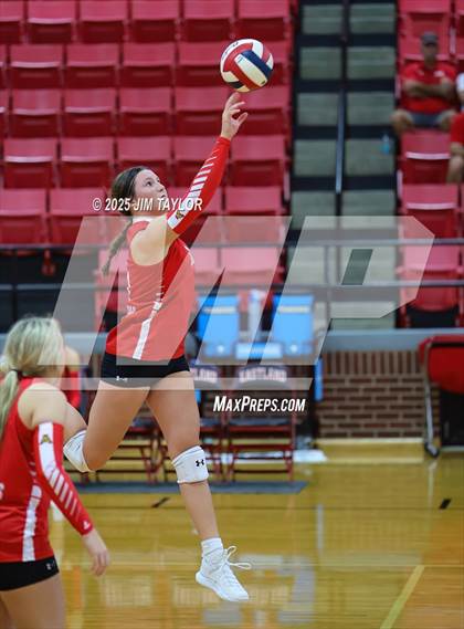 Thumbnail 1 in Albany vs  Aspermont (Eastland Volleyball Showdown 2025) photogallery.