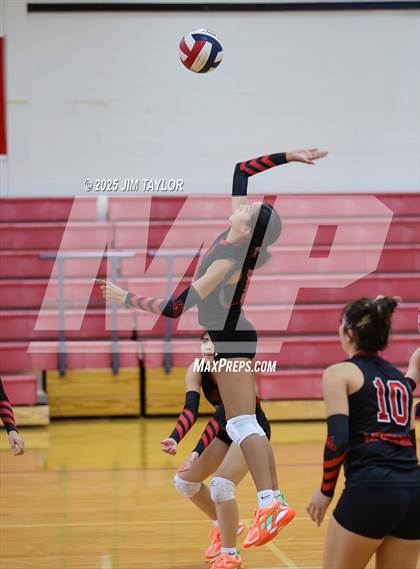 Thumbnail 3 in Albany vs  Aspermont (Eastland Volleyball Showdown 2025) photogallery.