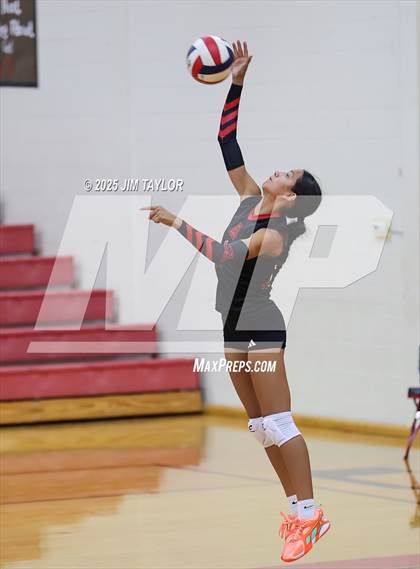 Thumbnail 3 in Albany vs  Aspermont (Eastland Volleyball Showdown 2025) photogallery.