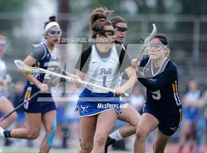 Thumbnail 1 in  Birmingham vs Palisades (CIF LAS Final) photogallery.