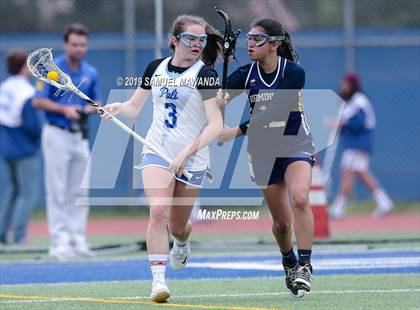 Thumbnail 1 in  Birmingham vs Palisades (CIF LAS Final) photogallery.