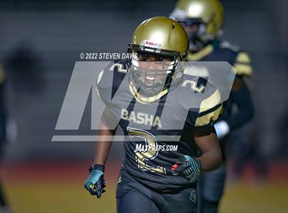 Thumbnail 1 in Chandler vs Basha photogallery.