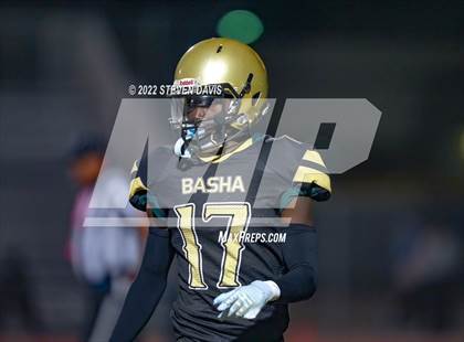 Thumbnail 2 in Chandler vs Basha photogallery.