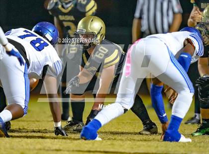 Thumbnail 1 in Chandler vs Basha photogallery.