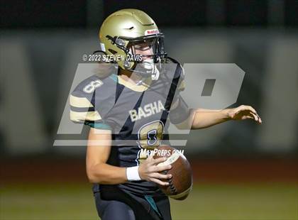 Thumbnail 1 in Chandler vs Basha photogallery.