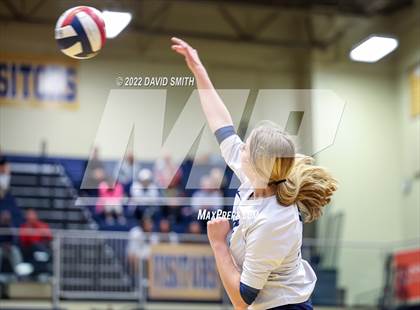 Thumbnail 3 in St. Teresa's Academy vs. Liberty North (MSHSAA Class 5 Quarterfinal) photogallery.
