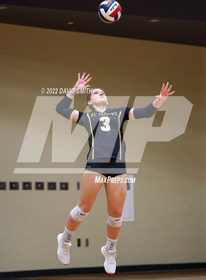 Thumbnail 2 in St. Teresa's Academy vs. Liberty North (MSHSAA Class 5 Quarterfinal) photogallery.
