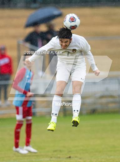 null - Photo 01
