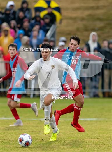 null - Photo 41