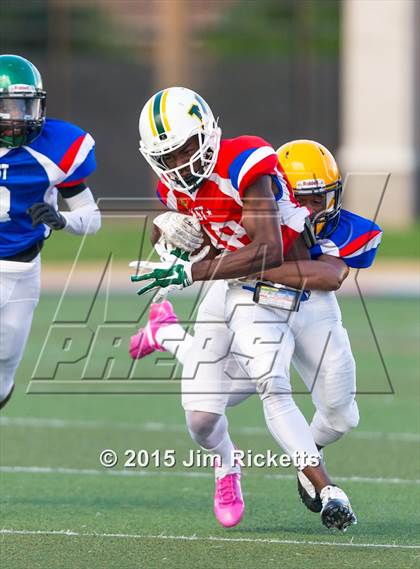 Thumbnail 2 in North Texas Bowl photogallery.