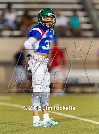 Thumbnail 1 in North Texas Bowl photogallery.