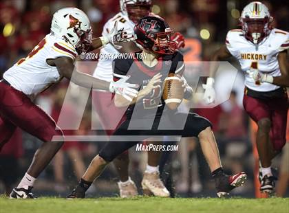 Thumbnail 3 in Hickory @ Hibriten photogallery.