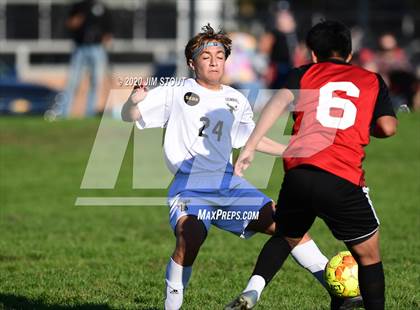 Thumbnail 2 in Trumbull @ Fairfield Warde photogallery.