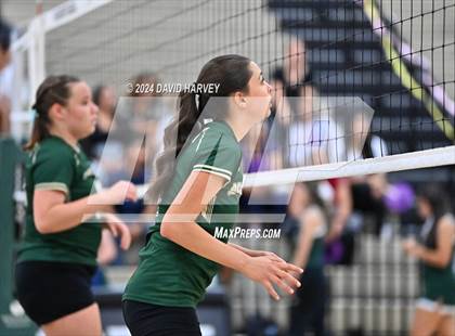 Thumbnail 1 in Denver North vs Bear Creek photogallery.