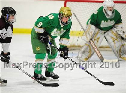 Thumbnail 3 in Notre Dame-West Haven @ North Haven photogallery.