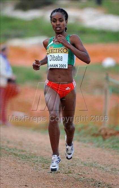 Thumbnail 2 in 37th IAAF World Cross Country Championships photogallery.