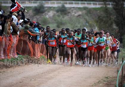 Thumbnail 2 in 37th IAAF World Cross Country Championships photogallery.