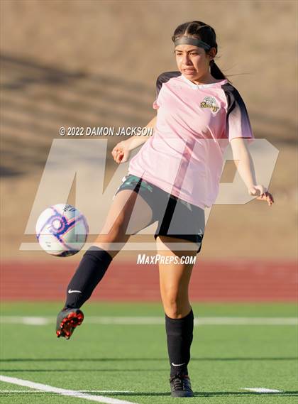 Thumbnail 2 in Chaparral @ Virgin Valley photogallery.