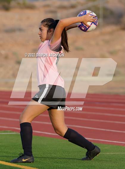 Thumbnail 1 in Chaparral @ Virgin Valley photogallery.