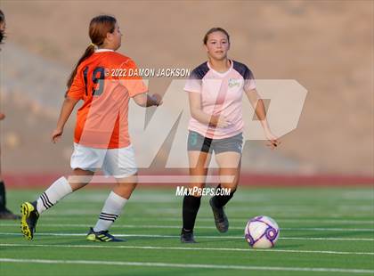 Thumbnail 2 in Chaparral @ Virgin Valley photogallery.