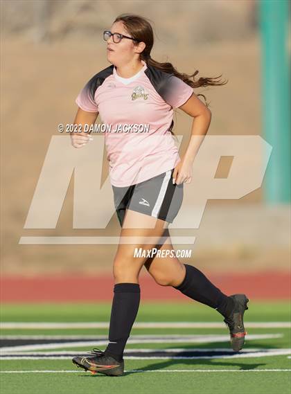 Thumbnail 2 in Chaparral @ Virgin Valley photogallery.