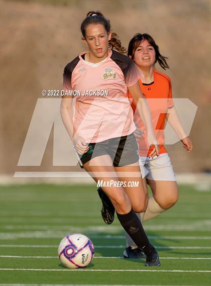 Thumbnail 3 in Chaparral @ Virgin Valley photogallery.