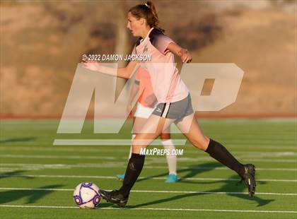 Thumbnail 3 in Chaparral @ Virgin Valley photogallery.