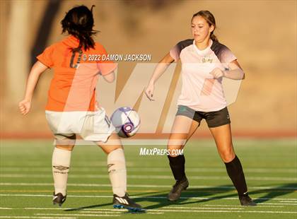 Thumbnail 3 in Chaparral @ Virgin Valley photogallery.