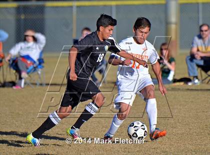 Thumbnail 2 in DeLand @ University photogallery.