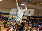 Photo from the gallery "Topsail @ Pine Forest"