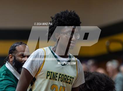 Thumbnail 2 in Topsail @ Pine Forest photogallery.