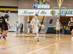 Photo from the gallery "Topsail @ Pine Forest"