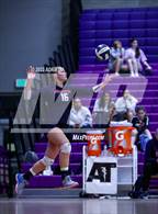 Photo from the gallery "Juanita @ Lake Washington"