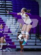 Photo from the gallery "Juanita @ Lake Washington"