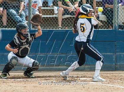 Thumbnail 1 in Notre Dame vs. Scotts Valley (CIF CCS Division 3 Final) photogallery.