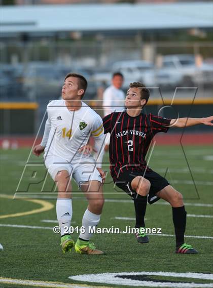 Thumbnail 3 in Palos Verdes vs. Royal photogallery.
