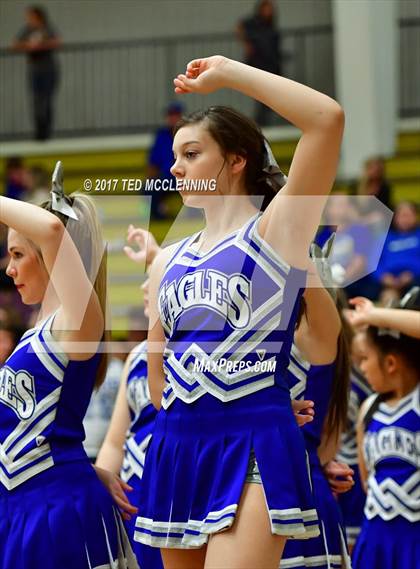 Thumbnail 1 in Cedarville vs. Paris  (AAA 3A Regional playoff) photogallery.