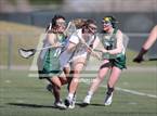 Photo from the gallery "Conifer @ Golden"