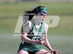 Photo from the gallery "Conifer @ Golden"