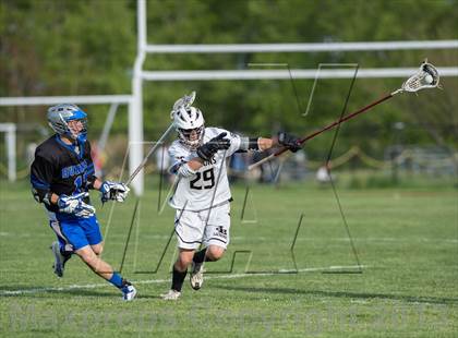 Thumbnail 1 in Bunnell @ Joel Barlow photogallery.