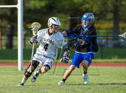 Thumbnail 3 in Bunnell @ Joel Barlow photogallery.