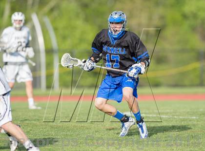 Thumbnail 3 in Bunnell @ Joel Barlow photogallery.