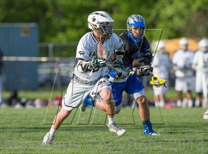 Thumbnail 2 in Bunnell @ Joel Barlow photogallery.